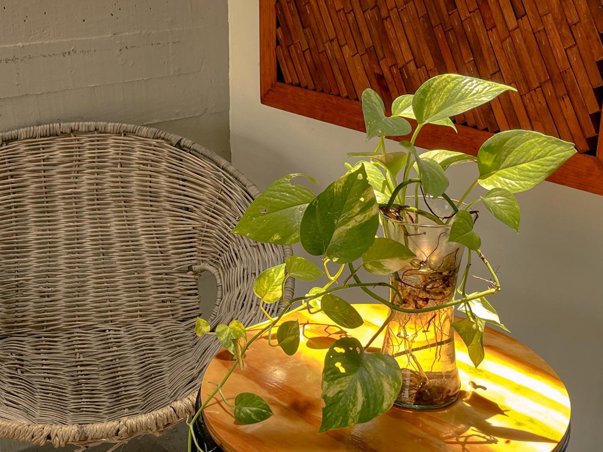 Apartamento Luxury Penthouse Three-stories At Madara
